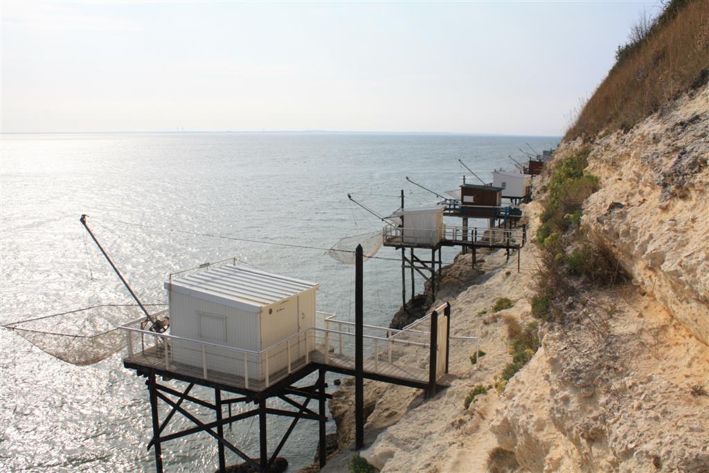 IMG_5922 (Large).JPG