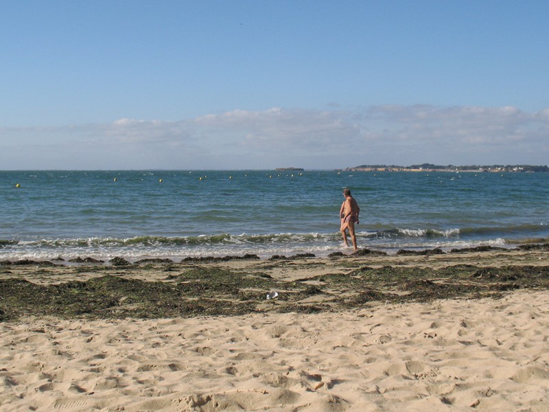 IMG_0528 [800x600].JPG