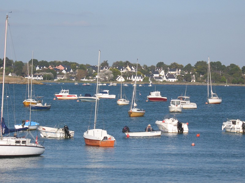 IMG_0530 [800x600].JPG