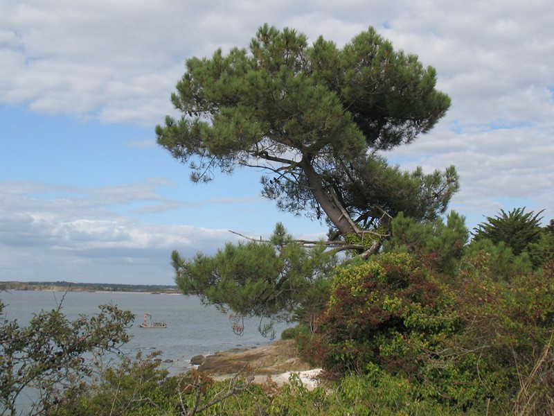 IMG_0549 [800x600].JPG