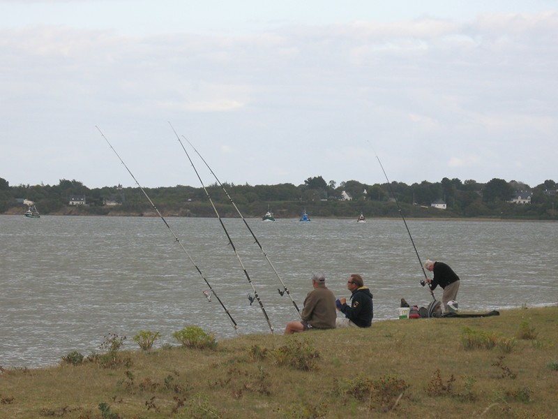 IMG_0568 [800x600].JPG