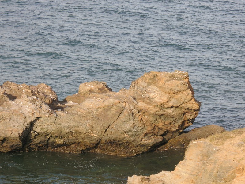 IMG_0573 [800x600].JPG