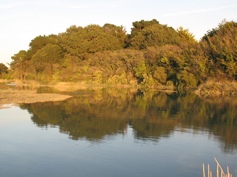 IMG_0579 [800x600].JPG