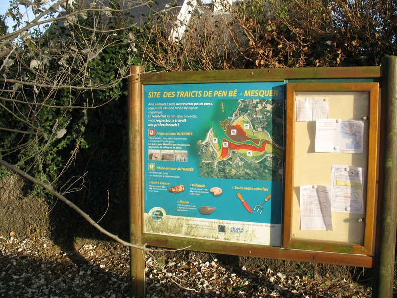 IMG_0616 [800x600].JPG