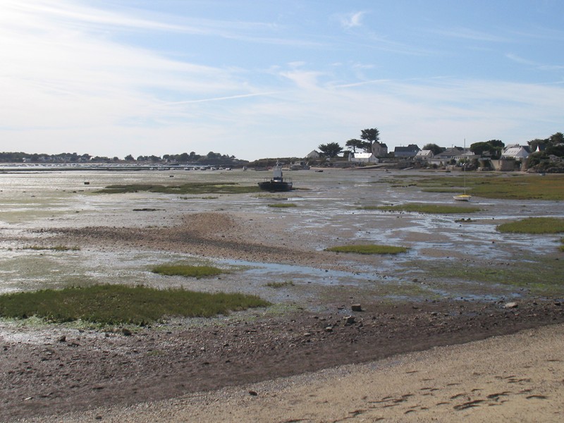 IMG_0580 [800x600].JPG