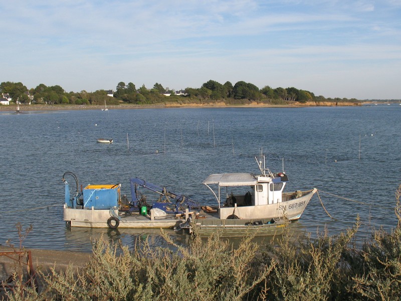 IMG_0612 [800x600].JPG