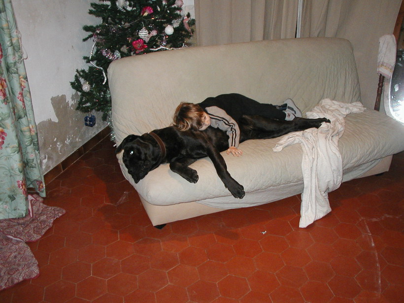 wolf et titi.jpg