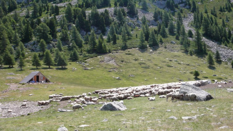 vacancesseynelesalpes2012 299.jpg