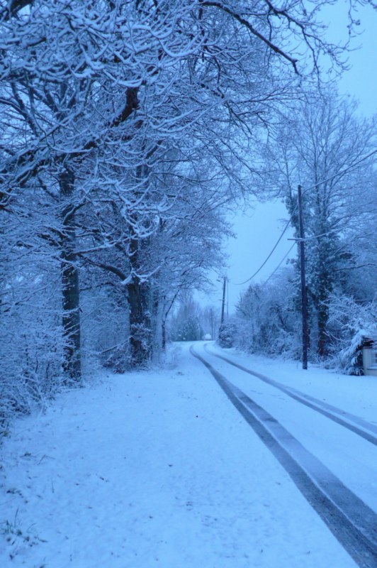 Hiver2012 011.jpg