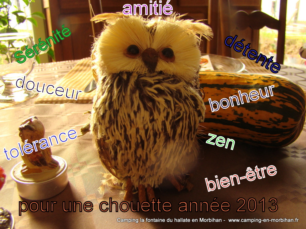 voeux 2013.JPG