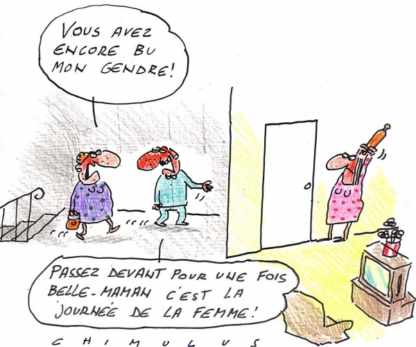 journee-femme-belle-mere-gendre-humour-dessin.jpg