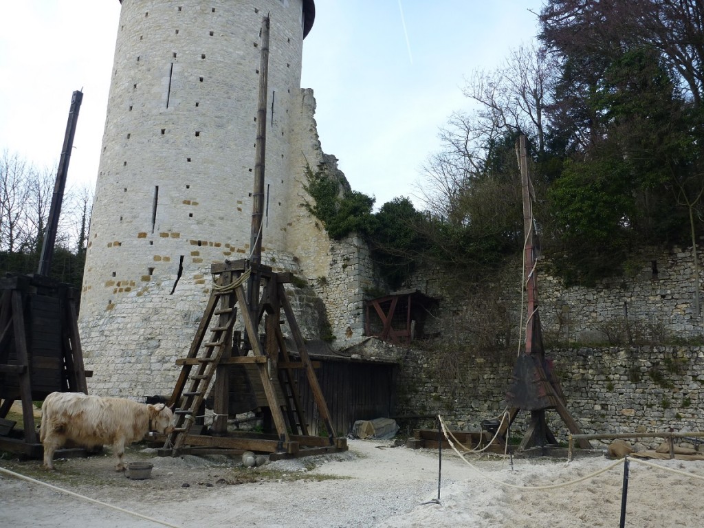 P1110456.JPG