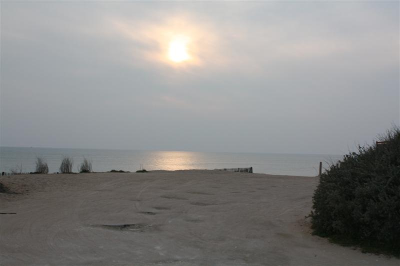 IMG_6194 (Medium).JPG