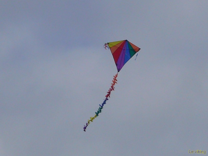 P1050262 [1600x1200].JPG