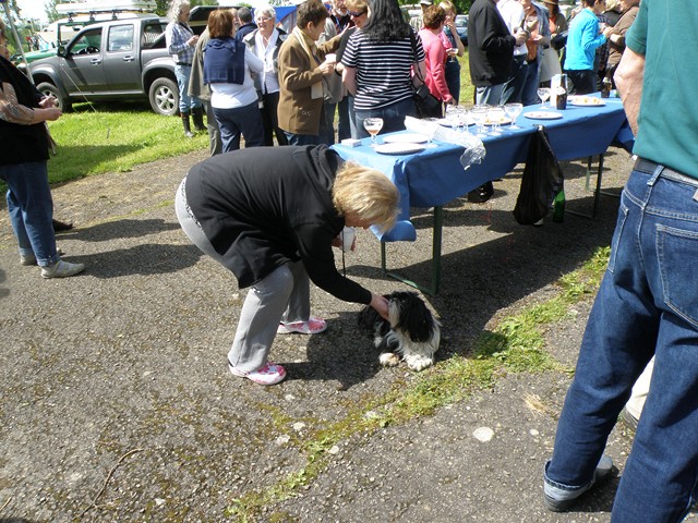 P5180153 (Copier).JPG