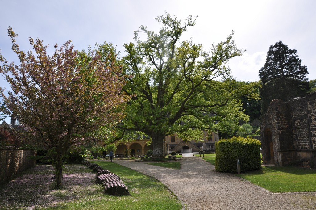 Virton Belgique (13).JPG