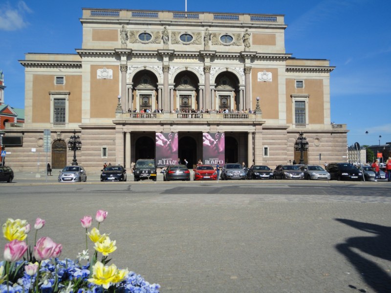 DSC04227 [800x600].jpg