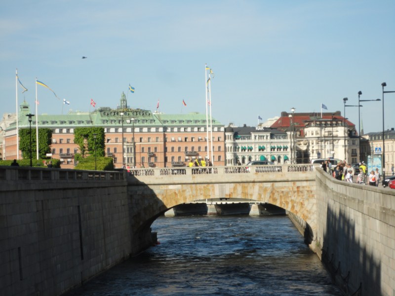 DSC04232 [800x600].jpg