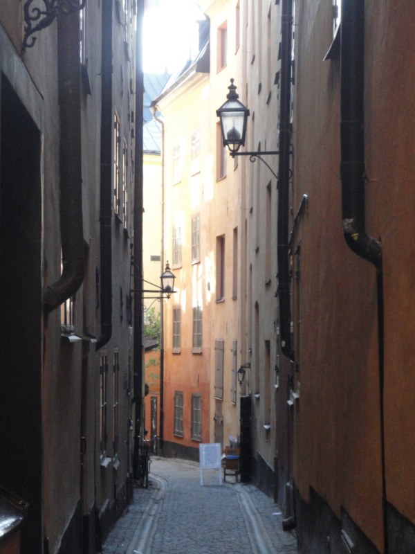 DSC04233 [800x600].jpg