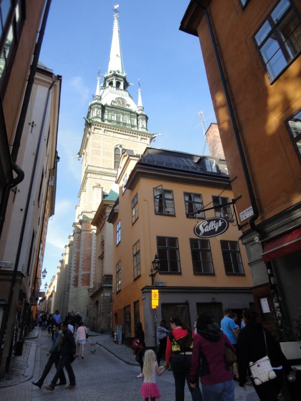 DSC04238 [800x600].jpg