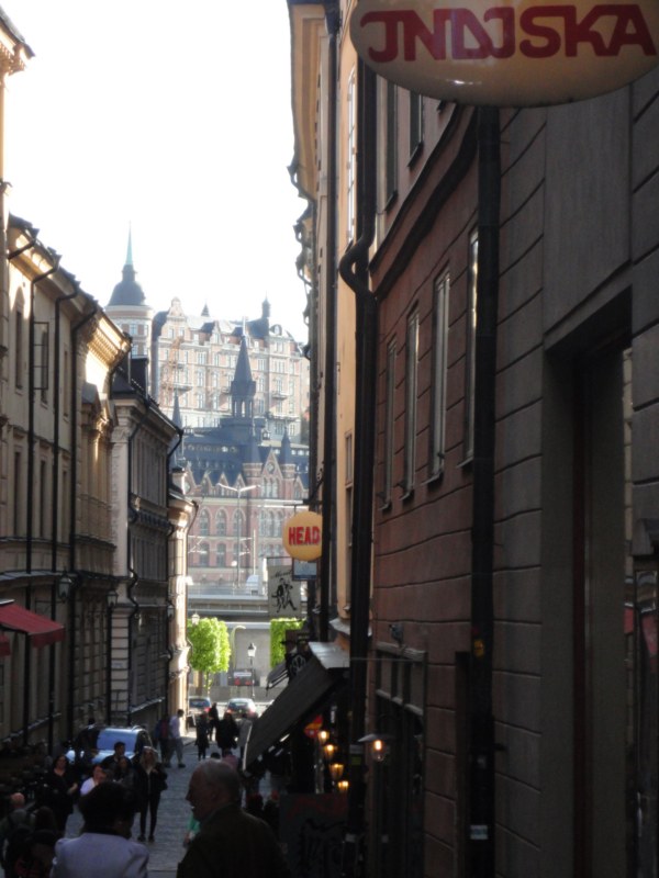 DSC04239 [800x600].jpg