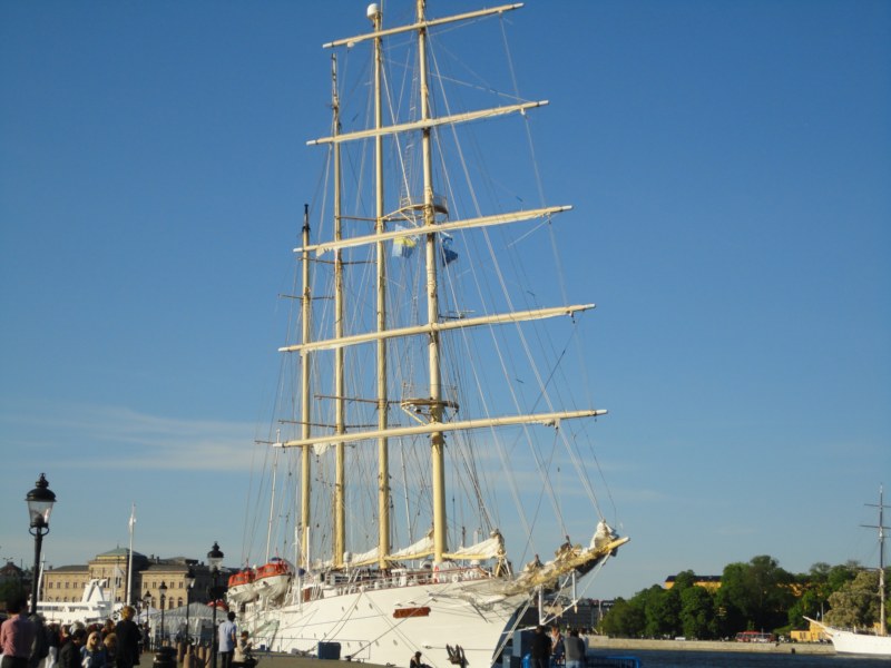 DSC04247 [800x600].jpg