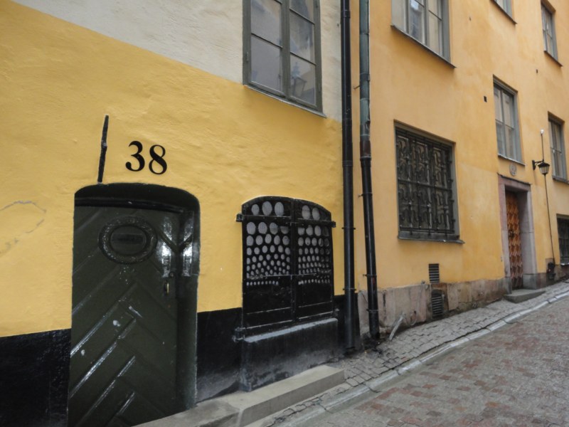 DSC04296 [800x600].jpg