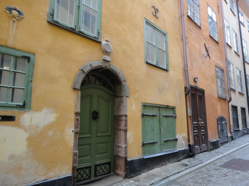 DSC04297 [800x600].jpg