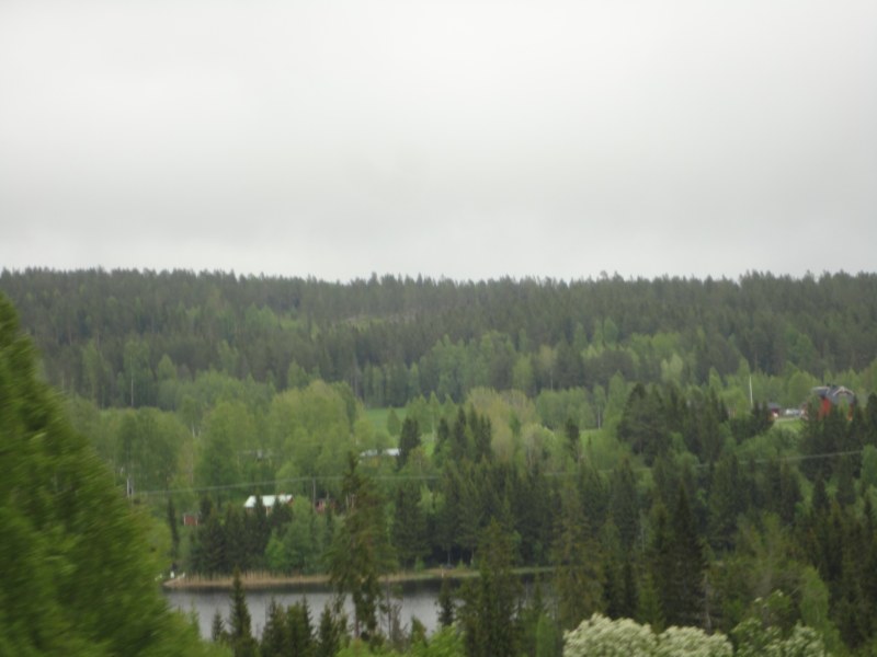 DSC04328 [800x600].jpg