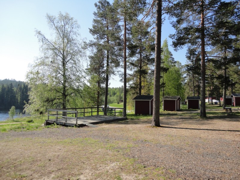 DSC04342 [800x600].jpg