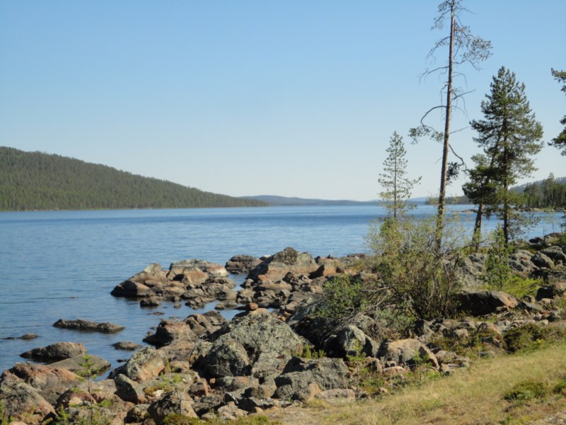 DSC04460 [800x600].jpg