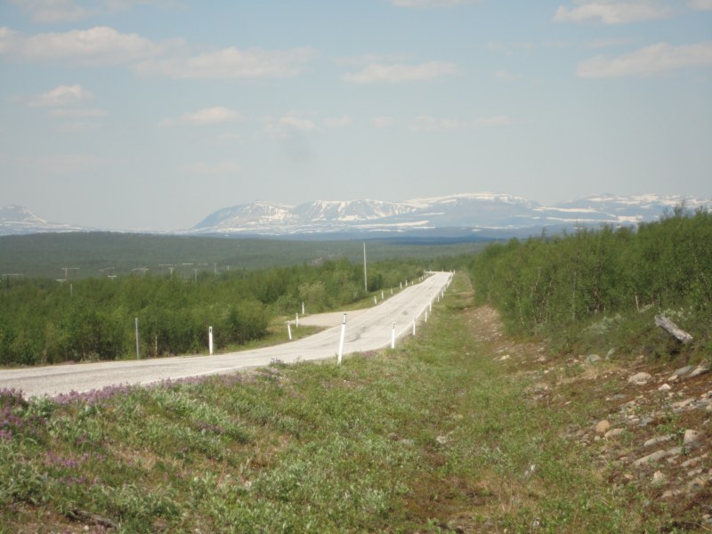 DSC04504 [800x600].jpg