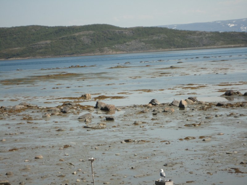 DSC04514 [800x600].jpg