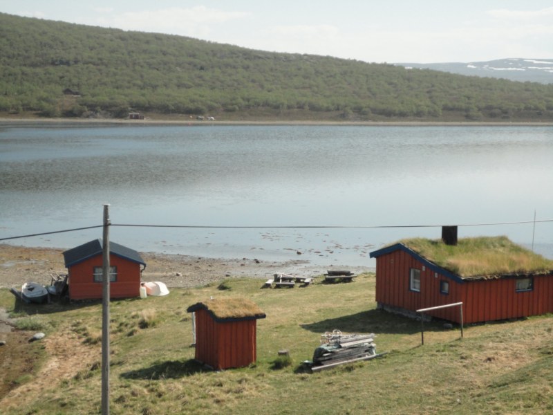 DSC04521 [800x600].jpg