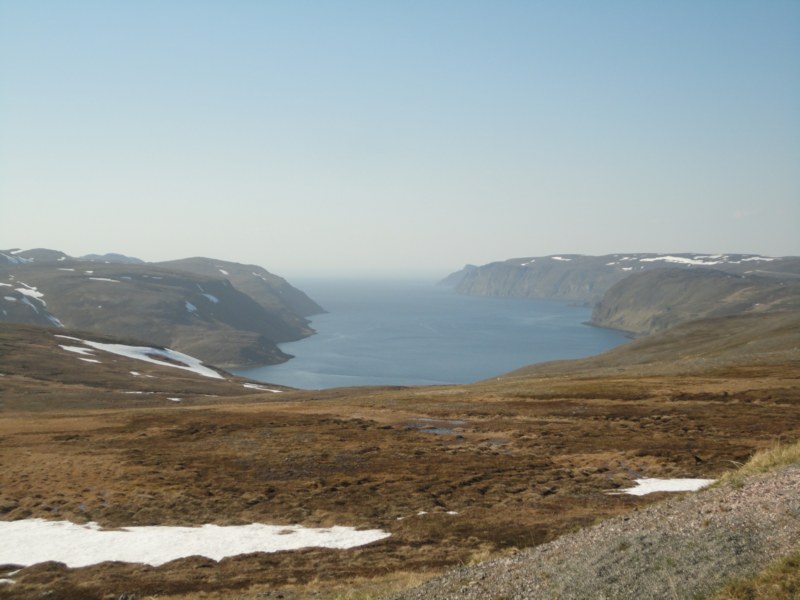 DSC04555 [800x600].jpg