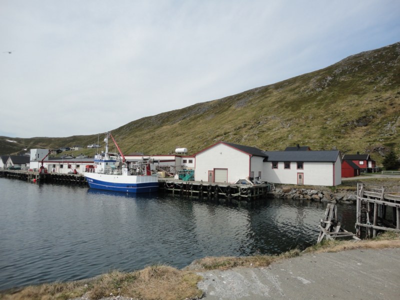 DSC04638 [800x600].jpg