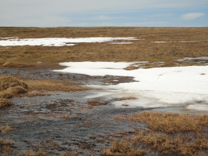 DSC04640 [800x600].jpg