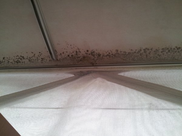 un peu piqué, le pavillon sur les 2 longueurs, et la toile est pareille