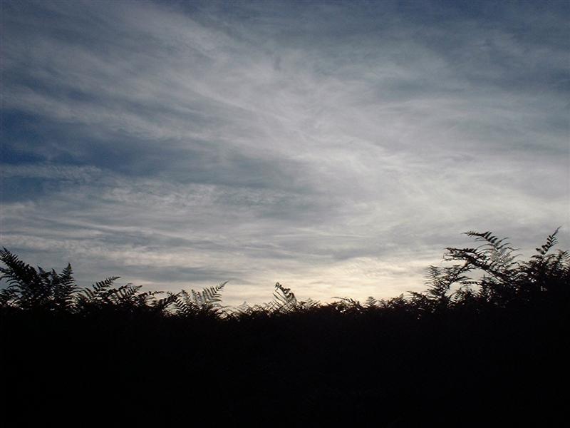 DSCF0067 (Medium).JPG