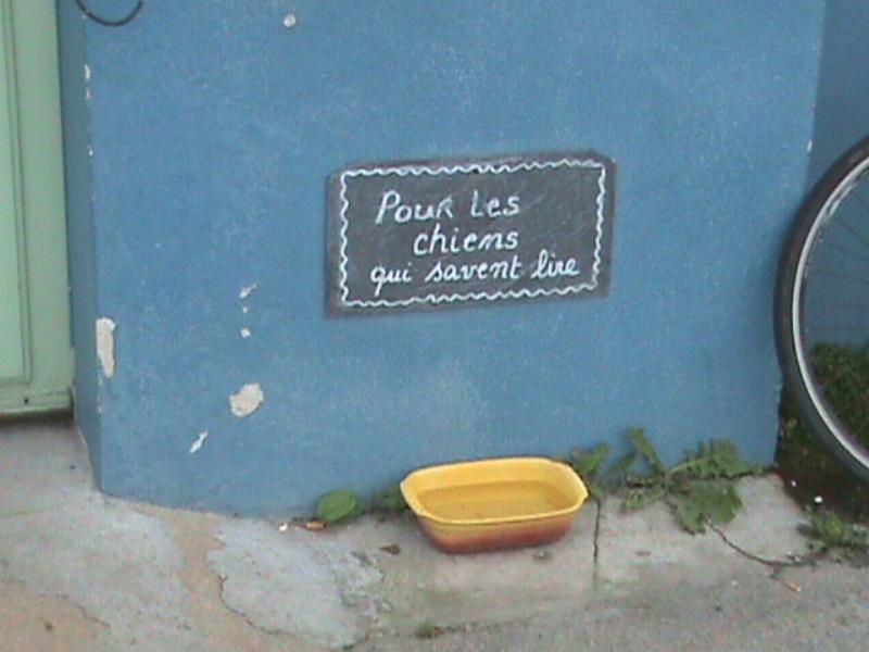 Humour.JPG