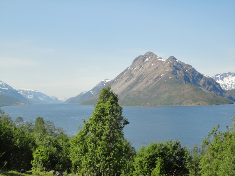 DSC04664 [800x600].jpg