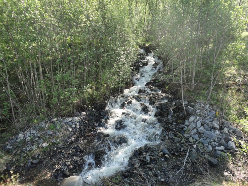 DSC04665 [800x600].jpg