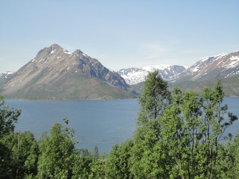 DSC04666 [800x600].jpg