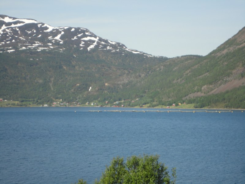 DSC04667 [800x600].jpg