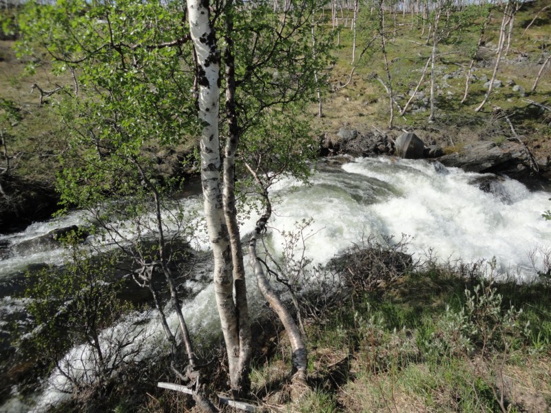 DSC04677 [800x600].jpg