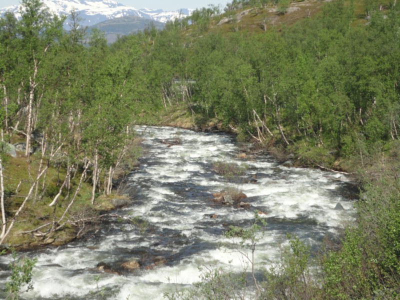 DSC04681 [800x600].jpg