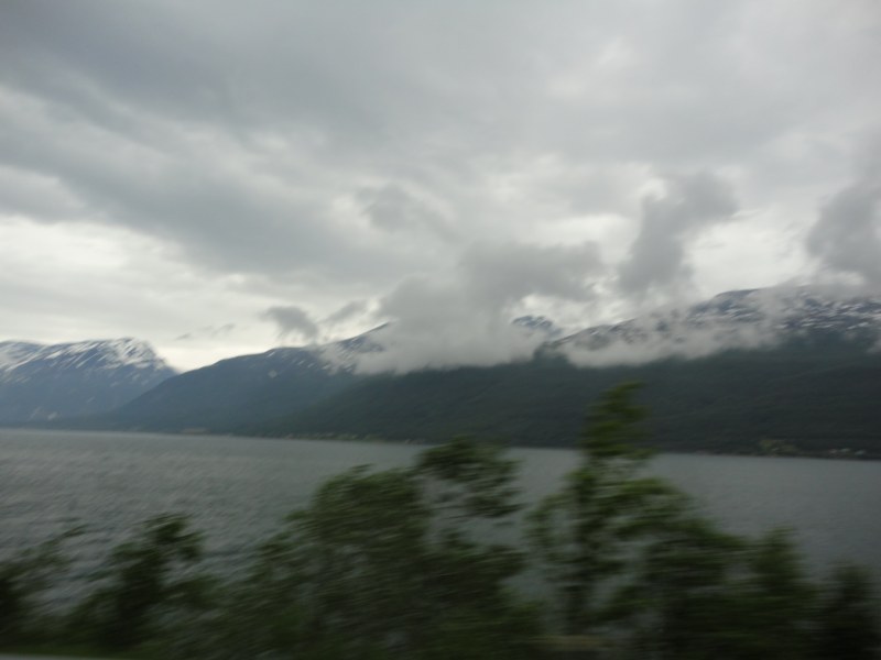 DSC04695 [800x600].jpg