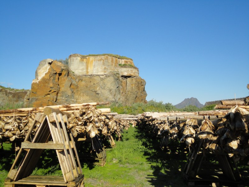 DSC04741 [800x600].jpg