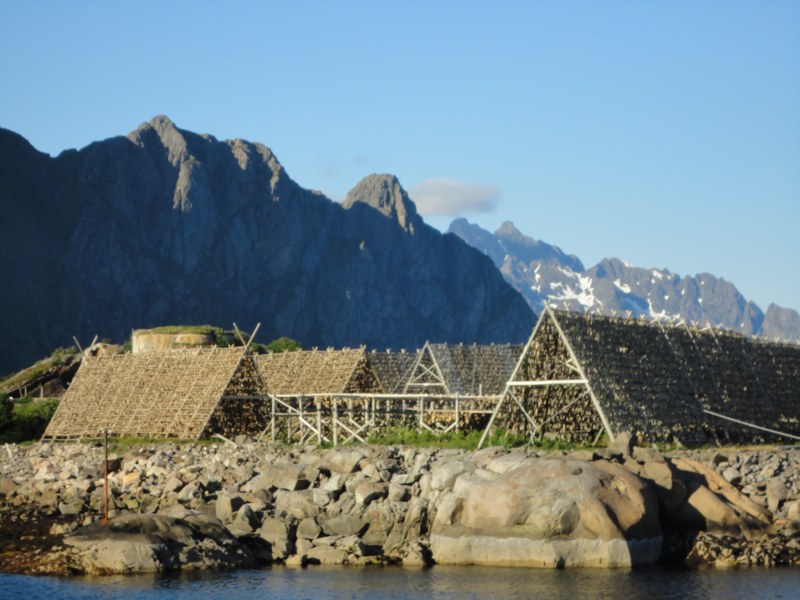 DSC04749 [800x600].jpg