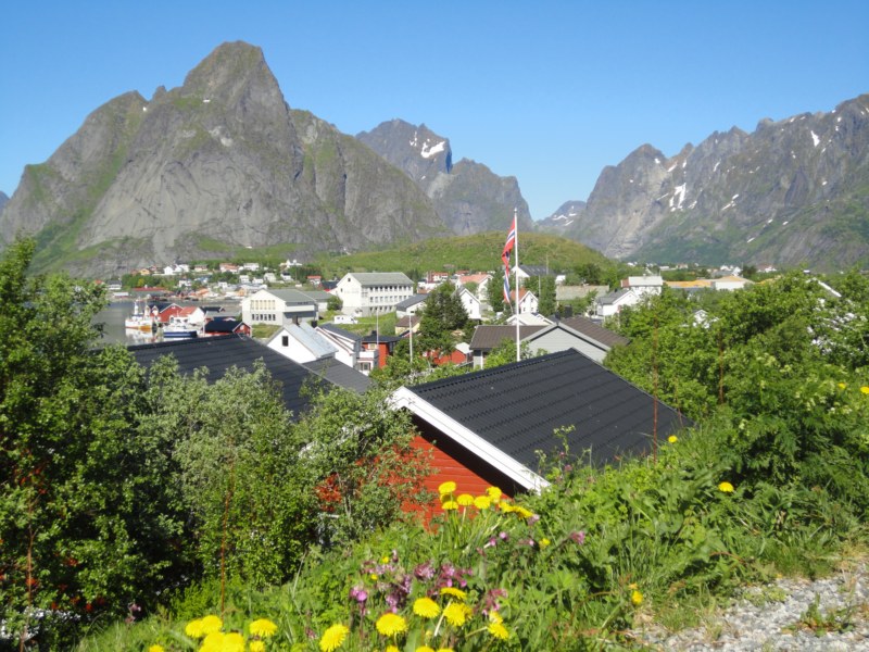 DSC04785 [800x600].jpg